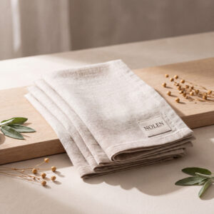 Linen Napkin Set of 4